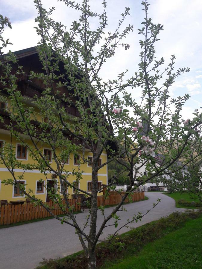 Biobauernhof Hauserbauer Hintersee Exterior photo